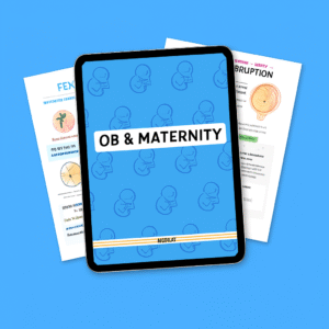 OB/ Maternity Nursing Notes Study Bundle - 2025