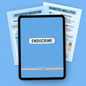 Endocrine Nursing Notes Study Bundle