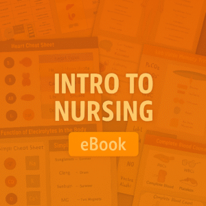 Intro to Nursing Study Guide - 2025