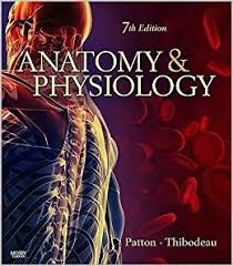 Anatomy And  Physiology 7th Edition By Patton Thibodeau