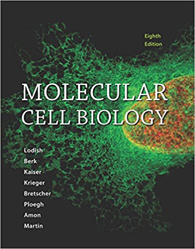 Molecular Cell Biology 8th Edition By Harvey Lodish - Test Bank