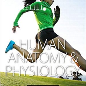 Human Anatomy Physiology 1st Edition By Erin C. Amerman - Test Bank