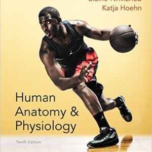 Human Anatomy & Physiology 10th Edition by Elaine N. Marieb, Katja Hoehn - Test Bank