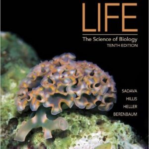 Life The Science of Biology 10th Edition by David E. Sadava, David M. Hillis - Test Bank
