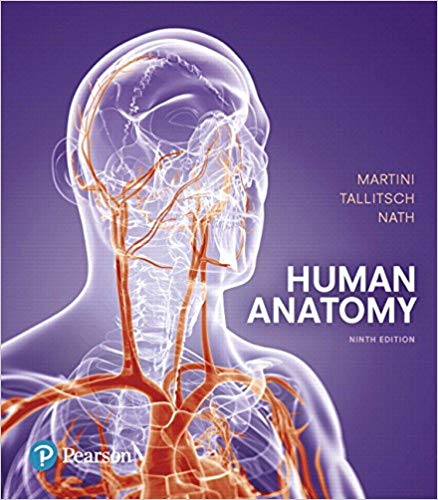 Human Anatomy 9th Edition By Frederic H. Martini - Test Bank