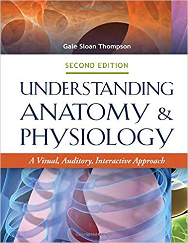 Understanding Anatomy and Physiology A Visual Auditory Interactive Approach 2nd Edition By Thompson RN - Test Bank