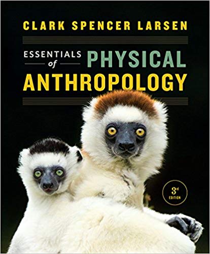 Essentials of Physical Anthropology 3rd Edition By Clark Spencer Larsen - Test bank