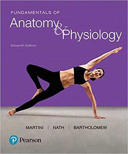 Fundamentals of Anatomy and Physiology 11th Edition by Frederic H. Martini- Test Bank