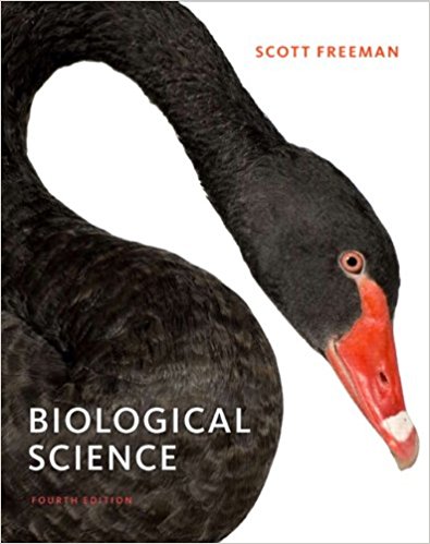 Biological Science 4th Edition by Scott Freeman - Test Bank