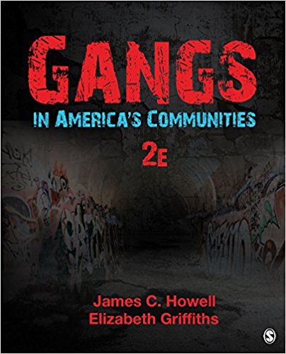 Gangs In Americas Communities 2nd Edition By C.-Howell - Test Bank