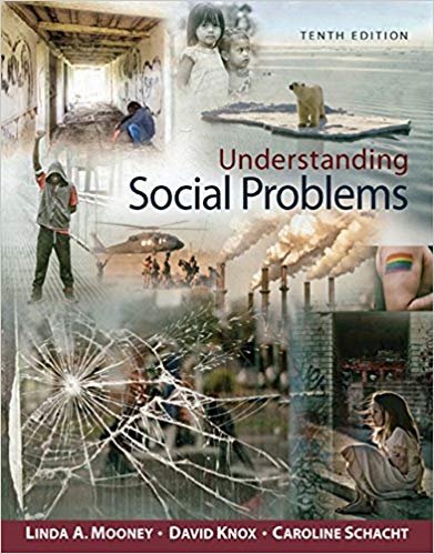 Understanding Social Problems  10th Edition by Linda A. Mooney - Test Bank
