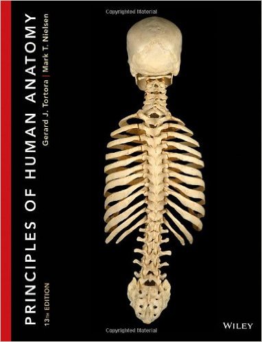 Principles Of Human Anatomy 13th by Gerard J. Tortora -Test Bank