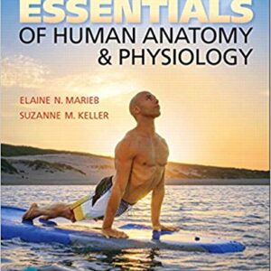 Essentials of Human Anatomy & Physiology 12th Edition by Elaine N. Marieb - Test Bank
