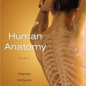 Human Anatomy 6th Edition By Elaine N. Marieb - Test Bank
