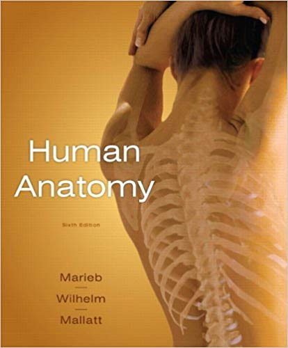 Human Anatomy 6th Edition By Elaine N. Marieb - Test Bank