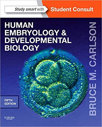 Human Embryology and Developmental Biology 5th Edition - Test Bank