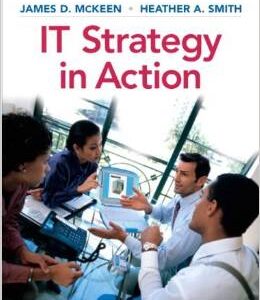 IT Strategy 1st Edition James McKeen - Test Bank