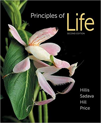 Principles of Life 2nd Edition by David M. Hillis - Test Bank