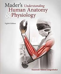 Maders Understanding Human Anatomy and Physiology 8th Edition by Susannah Longenbaker - Test Bank