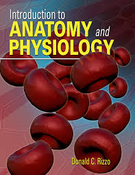 An Introduction to Anatomy and Physiology 1st Edition By Donald - Test Bank