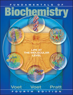 Fundamentals of Biochemistry Life at the Molecular Level 4th edition by Voet - Test Bank