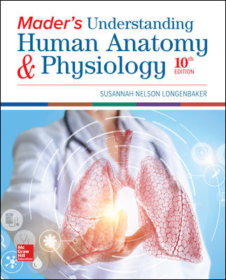 Mader's Understanding Human Anatomy & Physiology 10Th Edition By Susannah Longenbaker - Test Bank