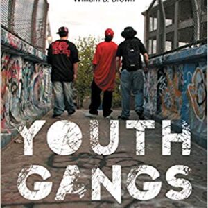 Youth Gangs in American Society 4th Edition by Randall G. Shelden  - Test Bank