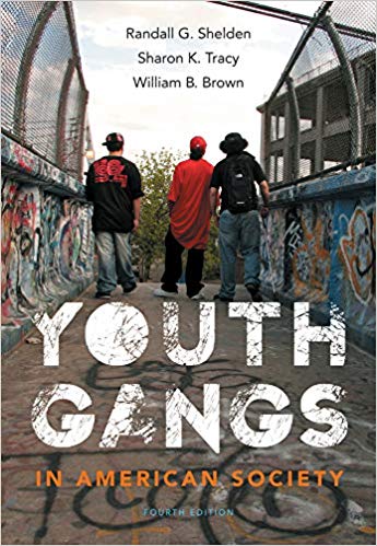 Youth Gangs in American Society 4th Edition by Randall G. Shelden  - Test Bank