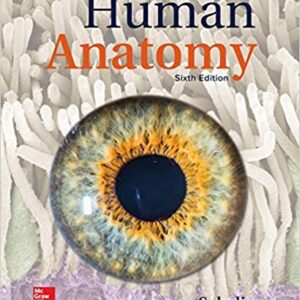Human Anatomy 6th Edition by Kenneth Saladin - Test Bank