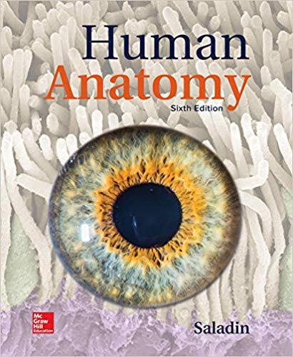Human Anatomy 6th Edition by Kenneth Saladin - Test Bank