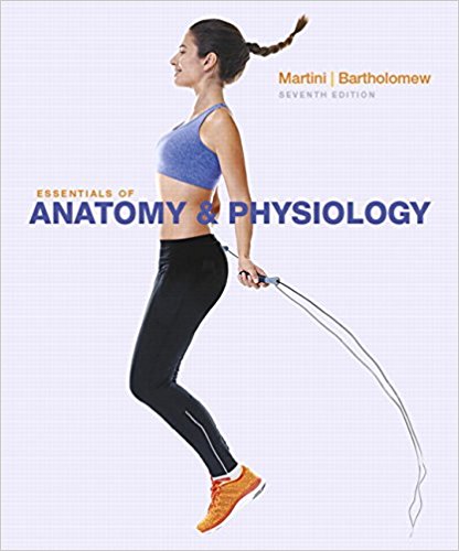 Essentials of Anatomy And Physiology 7th Edition by Martini Bartholomew - Test Bank