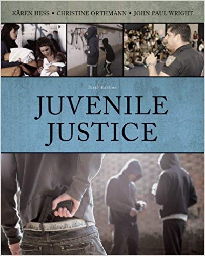 Juvenile Justice 6th Edition by Kären M. Hess - Test Bank