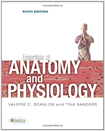 Essentials of Anatomy & Physiology 6th Edition By Scanlon - Sanders - Test Bank