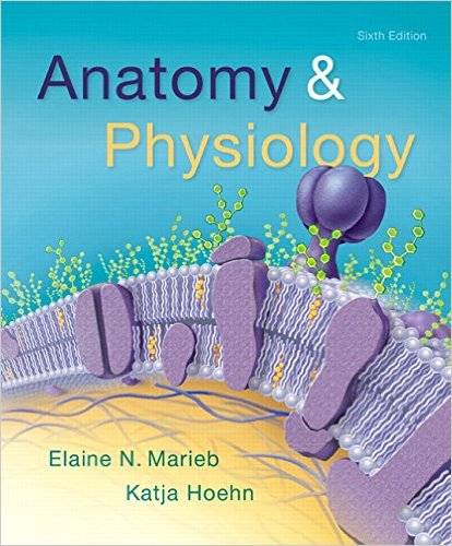 Anatomy And Physiology 6th Edition By Elaine N. Marieb - Test Bank