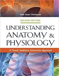 Understanding Anatomy And Physiology A Visual Auditory Interactive Approach 2nd Edition Thompson - Test Bank