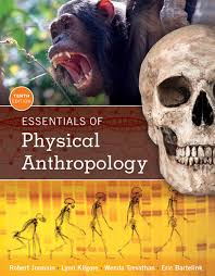 Essentials of Physical Anthropology 10th Edition by Robert Jurmain - Test Bank