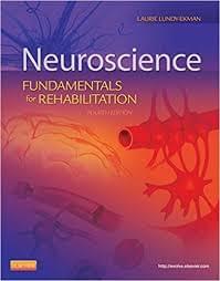 Neuroscience Fundamentals Rehabilitation 4th Edition by Lundy Ekman