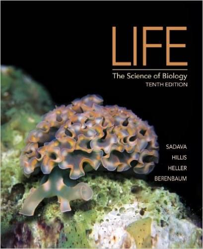 Life The Science of Biology 10th Edition by David E. Sadava, David M. Hillis - Test Bank